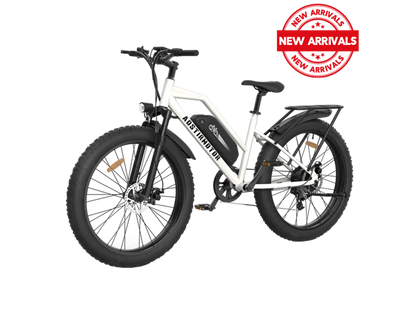 Aostirmotor S07-G Fat Tire Step Thru City Commuter 750W Ebike