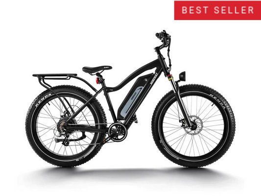 Himiway Cruiser D3 Long Range 750W Fat Tire Electric Bike