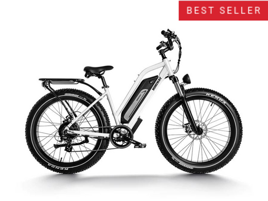 Himiway Cruiser D3 Step-Thru Long Range All Terrain 750W Electric Bike