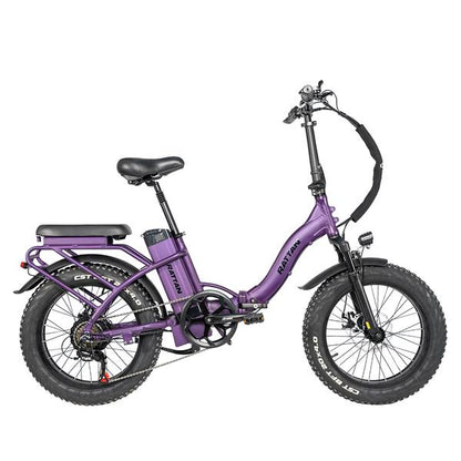 Rattan LF 750W Motor 48V 13AH Battery Fat Tire Foldable Electric Bike