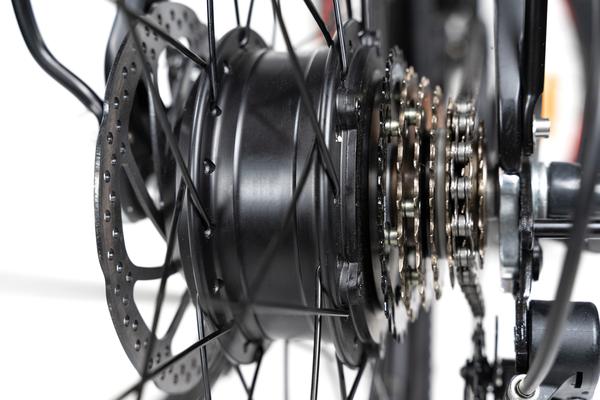 Rattan Challenger 350W Motor 48V 10.4 AH Battery Electric Mountain Bike