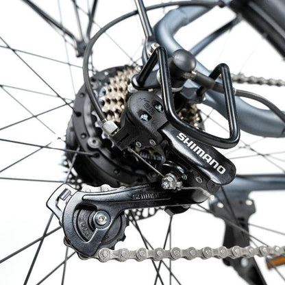 Rattan Pathfinder 750W Motor 48V 13AH Battery Fat Tire Electric Mountain Bike