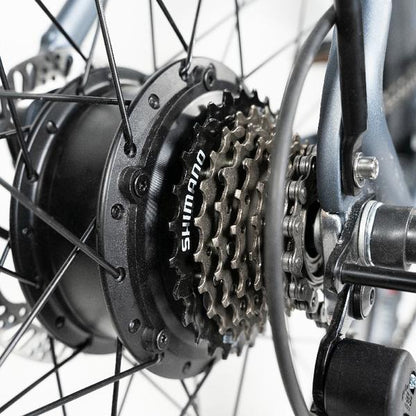 Rattan Pathfinder 750W Motor 48V 13AH Battery Fat Tire Electric Mountain Bike