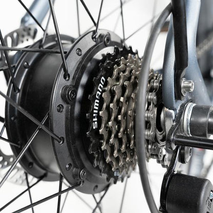 Rattan Compass 500W Motor  48V 13AH Battery Mini Fat Tire Electric Mountain Bike