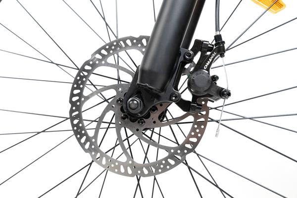 Rattan Compass 500W Motor  48V 13AH Battery Mini Fat Tire Electric Mountain Bike