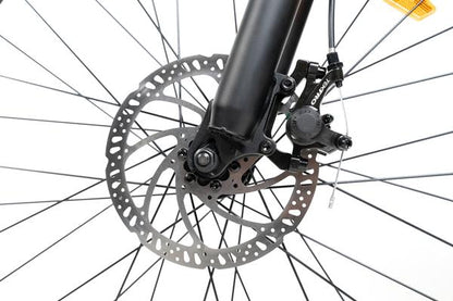 Rattan Compass 500W Motor  48V 13AH Battery Mini Fat Tire Electric Mountain Bike