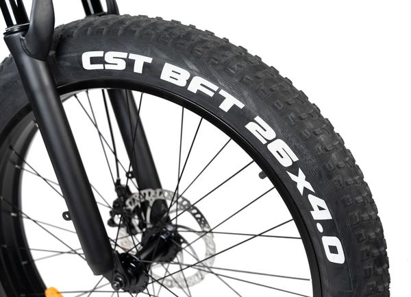 Rattan Pathfinder 750W Motor 48V 13AH Battery Fat Tire Electric Mountain Bike