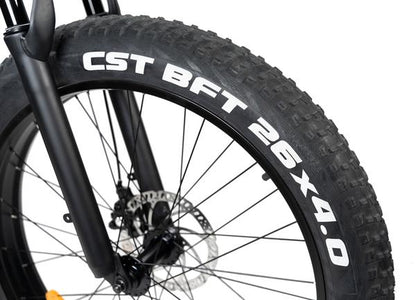 Rattan Pathfinder 750W Motor 48V 13AH Battery Fat Tire Electric Mountain Bike