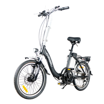 DWMEIGI DW7609 36V 250W Electric Folding Bike