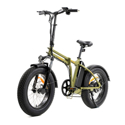 DWMEIGI DW8710 48V 500W Electric Fat Tire Bike