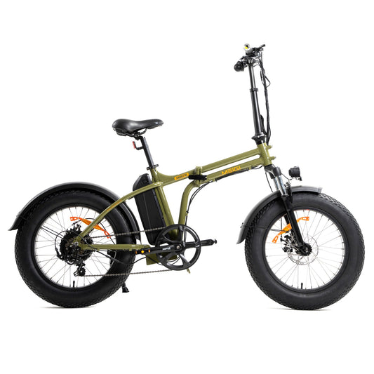 DWMEIGI DW8710 48V 500W Electric Fat Tire Bike