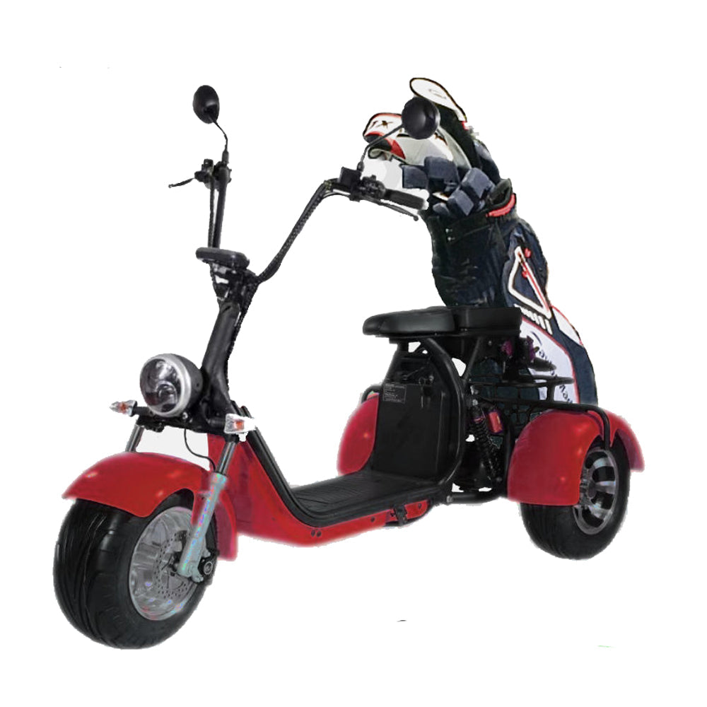 SoverSky T7.1 2000W 25PMH 20AH/40AH Electric Mobility Adult Trike