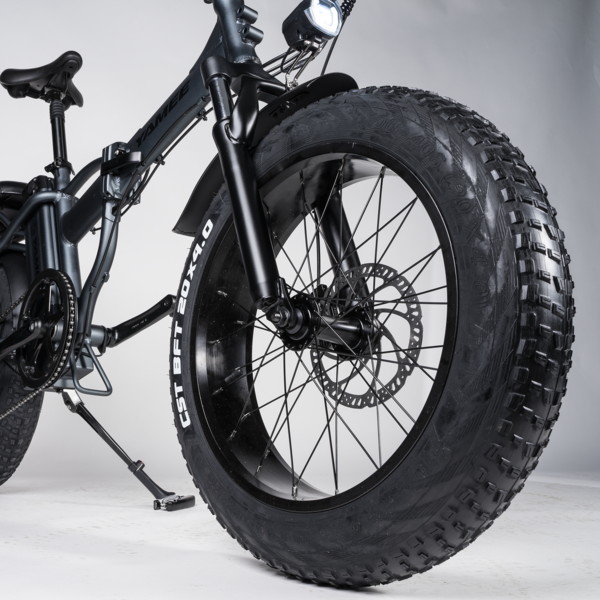 Rattan LM 750W Motor 48V 13AH Battery Fat Tire Foldable Electric Bike