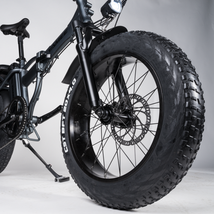 Rattan LM 750W Motor 48V 13AH Battery Fat Tire Foldable Electric Bike