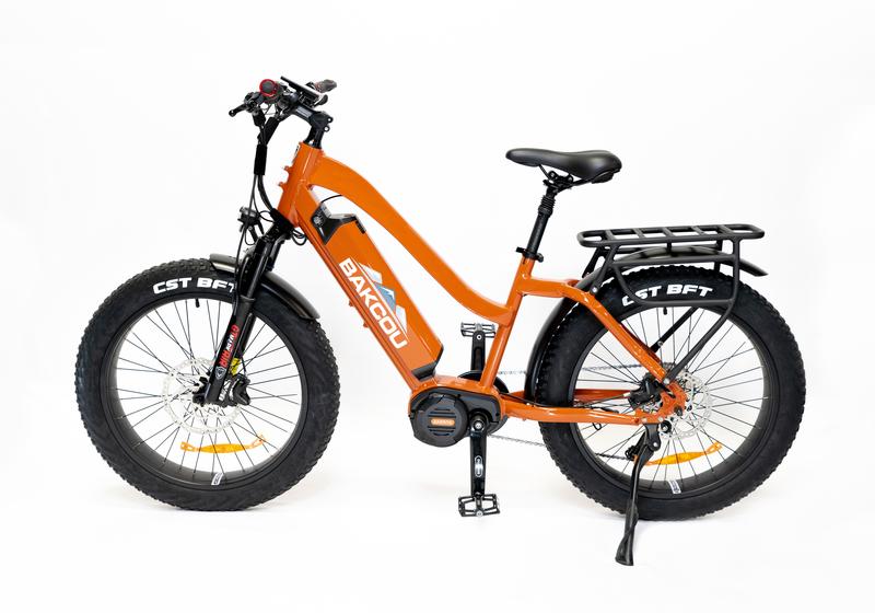 Bakcou Flatlander ST Frame Hunting Ebike Fat Tire Electric Mountain Bike 750w