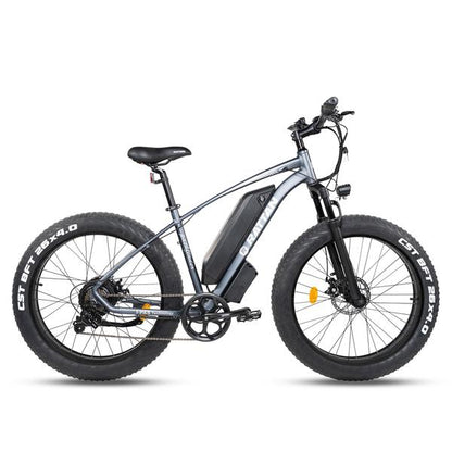 Rattan Pathfinder 750W Motor 48V 13AH Battery Fat Tire Electric Mountain Bike