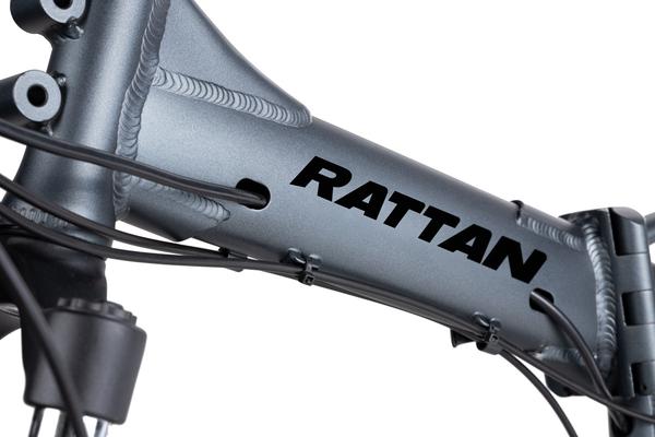 Rattan LM 750W Motor 48V 13AH Battery Fat Tire Foldable Electric Bike