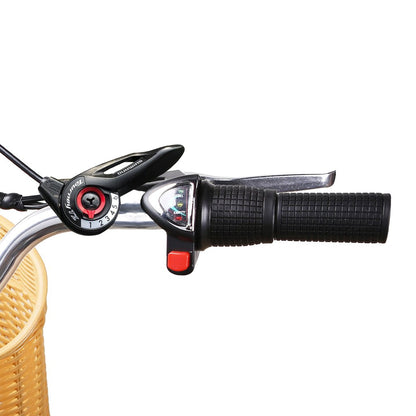 Nakto Camel City Step Thru Electric Bicycle 26" for Women with Basket