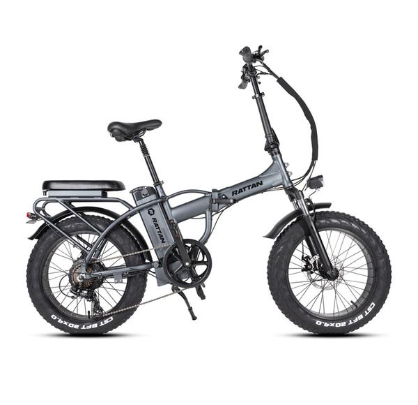 Rattan LM 750W Motor 48V 13AH Battery Fat Tire Foldable Electric Bike