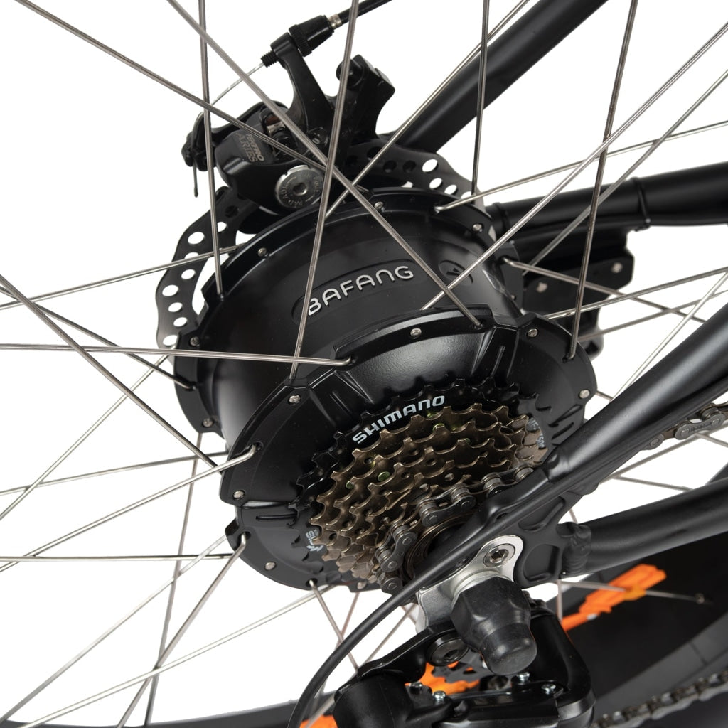 DWMEIGI DW8709 48V 750W Electric Fat Tire Bike