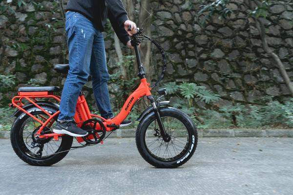 Rattan LF 750W Motor 48V 13AH Battery Fat Tire Foldable Electric Bike