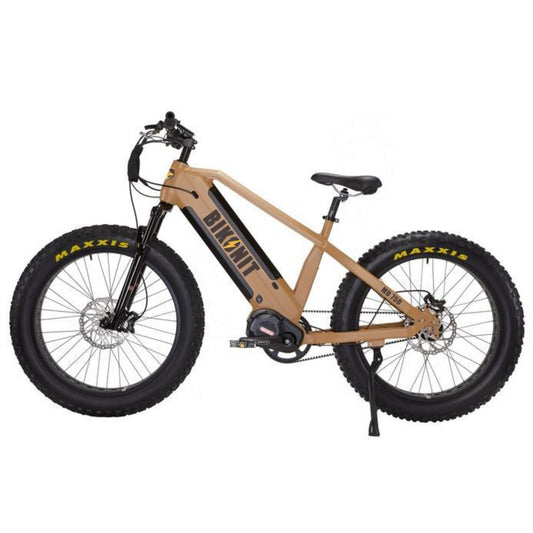 Bikonit MD750  48V 15AH Battery 750W Ultra Motor Fat Tire All Terrain Electric Bike